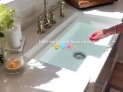 开云登陆官网V9.1专业版