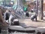 Office Password Recovery Toolbox