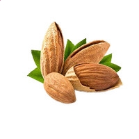 开云官方网登录