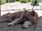 博友彩网站入口