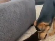 Moo0 AudioTypeConverter(音频格式转换工具)