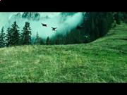 宝宝梦幻冰淇淋小游戏