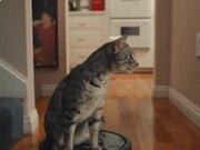 星空体育appV8.8专业版