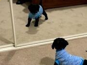 幸运5最新开奖V3.8专业版