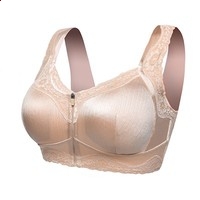 IPLook超强解析软件