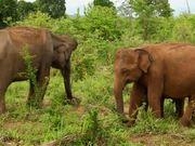 深蓝法考(刷题神器)