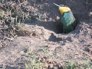 亚云appV9.3专业版