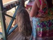 开云app在线入口2025版与巨型昆虫战斗场景