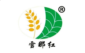 小熊洗车APP
