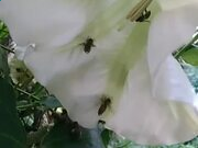 要塞十字军东征2全版本修改器