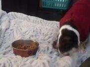 天博入口V2.5专业版