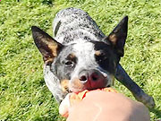 比特体育网页版V5.2专业版