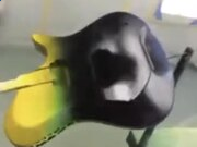 澳门赌场app2025版角色与NPC互动