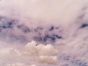 河南汽车维修平台APP