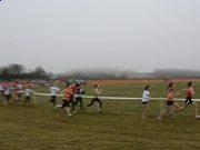 kaiyun体育app官方网站登录入口V3.1专业版