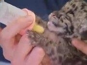 澳博集团入口安卓版二维码