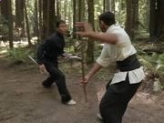 开云在线官方网站V6.9专业版