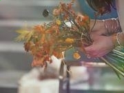 导航网投appV6.1专业版
