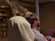 开云kaiyunapp下载方式安卓版二维码