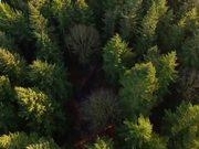 新生彩appV7.2专业版