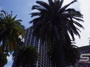 天天乐彩注册安卓版二维码