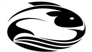 kaiyun体育官网在线登录安卓版二维码