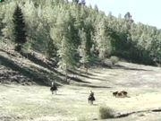 开云在线官方网站V7.2专业版