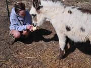 胜游亚洲app安卓版二维码