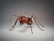 澳门网上集团app