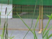 尊爵平台官网