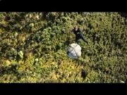 河南汽车维修平台APP