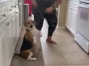 雷火电竞appV8.2专业版