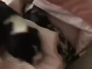 kaiyun官方体育appV4.9专业版