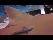 kaiyun体育手机登录V4.7专业版