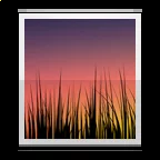 ayxapp注册V6.4专业版