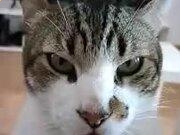 PhotoScape(数码照片处理工具)