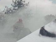 TCG彩票app安卓版二维码