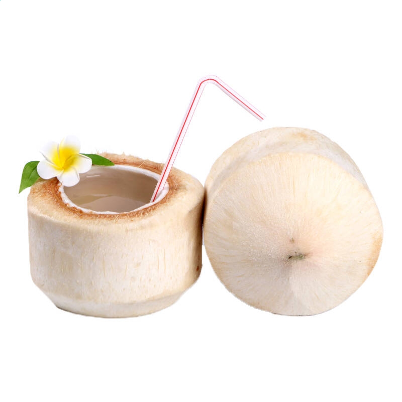 体育赌博官网安卓版二维码