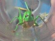 6886网页版V6.9专业版