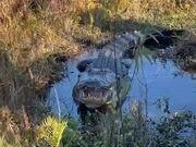 播九appV6.9专业版