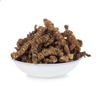 kalyun体育在线官网下载2025最新版地脉节点经营画面