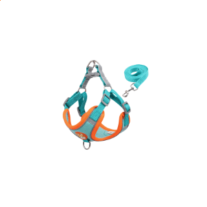 PhotoScape(数码照片处理工具)