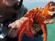 FireIME火星文输入法伴侣