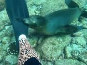 摄像头录制软件(Video Capture to MP4)