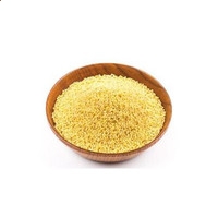 888澳门集团app2025最新版骑士骑乘随行兽在夕阳下场景