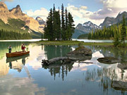 澳门大众官网登录V7.1专业版