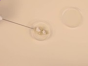 168彩票官网老版安卓版二维码