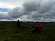 大众点评网iphone版