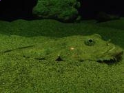 河南汽车维修平台APP