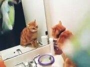 云开全站app登录入口V6.4专业版